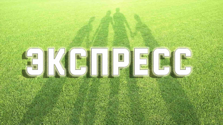 Что значит ставка экспресс