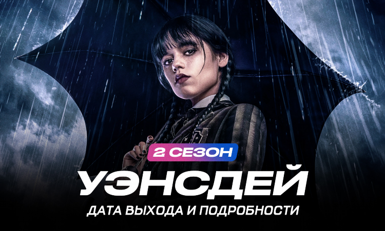 Манганьелло судья статистика